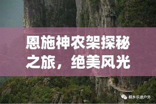 反朴还淳 第2页