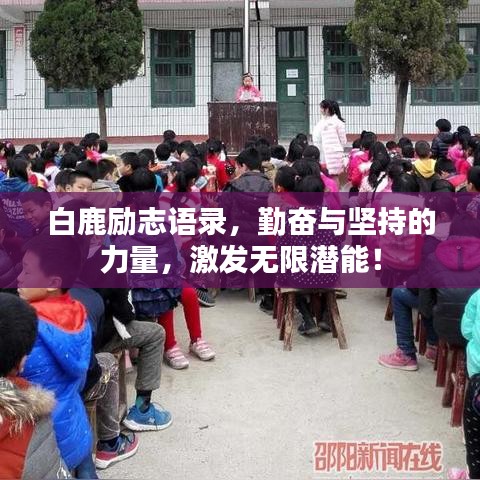 白鹿励志语录，勤奋与坚持的力量，激发无限潜能！