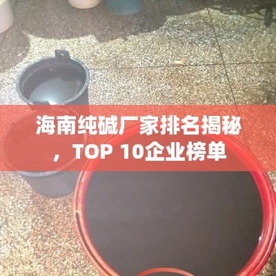 海南纯碱厂家排名揭秘，TOP 10企业榜单