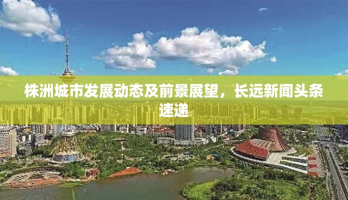 规模优势 第73页