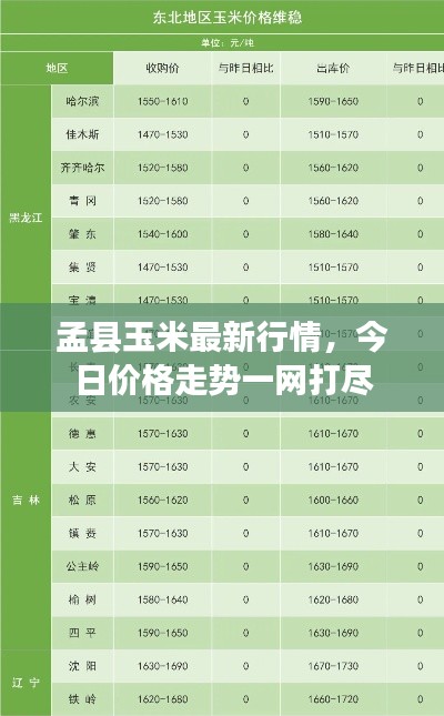 孟县玉米最新行情，今日价格走势一网打尽
