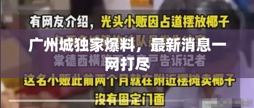 广州城独家爆料，最新消息一网打尽