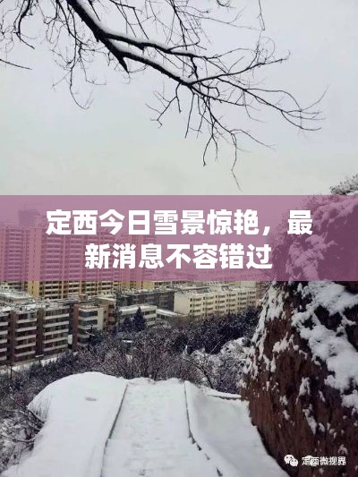 定西今日雪景惊艳，最新消息不容错过