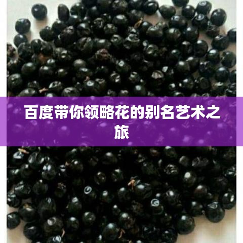 百度带你领略花的别名艺术之旅