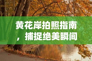 黄花岸拍照指南，捕捉绝美瞬间攻略