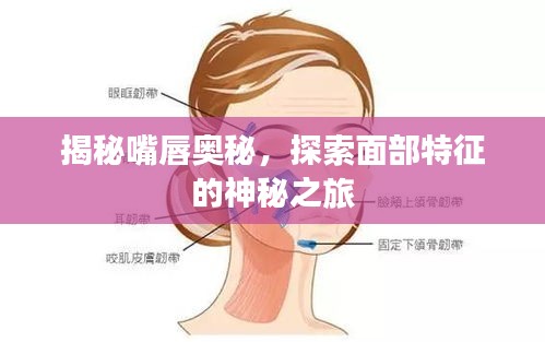 揭秘嘴唇奥秘，探索面部特征的神秘之旅