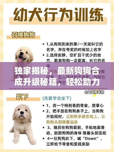 独家揭秘，最新狗狗合成升级秘籍，轻松助力狗狗飞速成长！