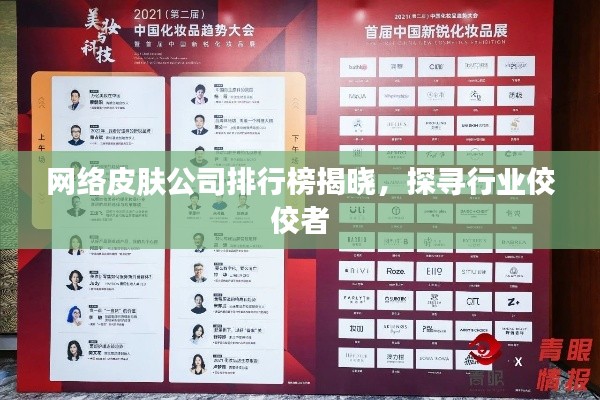 网络皮肤公司排行榜揭晓，探寻行业佼佼者