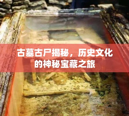 古墓古尸揭秘，历史文化的神秘宝藏之旅