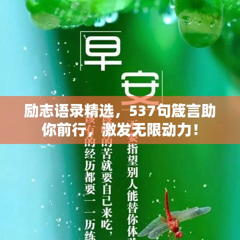 励志语录精选，537句箴言助你前行，激发无限动力！