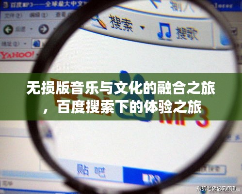 无损版音乐与文化的融合之旅，百度搜索下的体验之旅