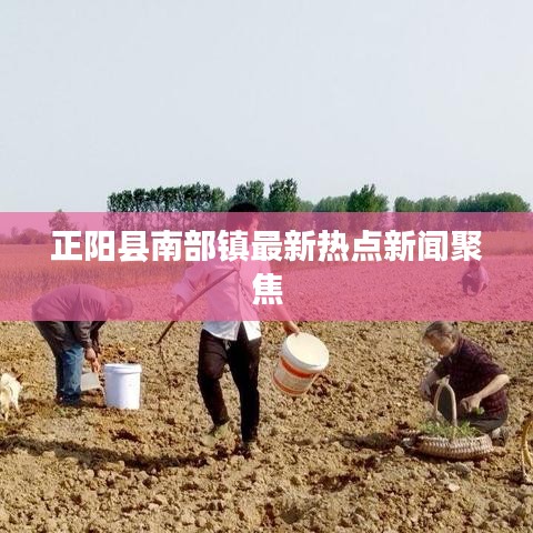 正阳县南部镇最新热点新闻聚焦