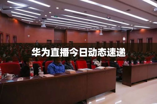 华为直播今日动态速递