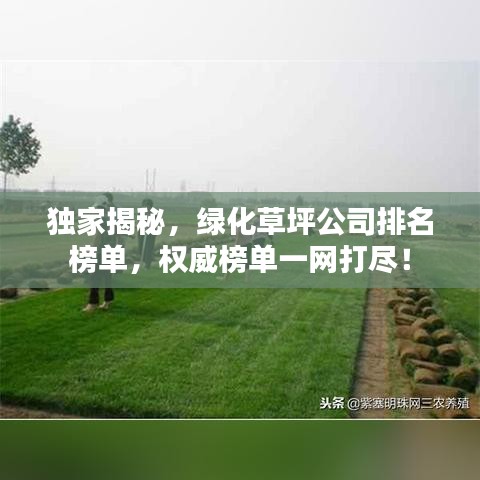 独家揭秘，绿化草坪公司排名榜单，权威榜单一网打尽！