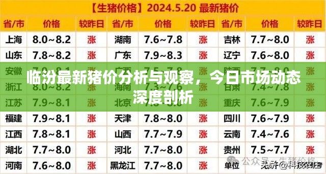 临汾最新猪价分析与观察，今日市场动态深度剖析