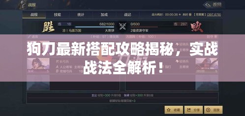 狗刀最新搭配攻略揭秘，实战战法全解析！