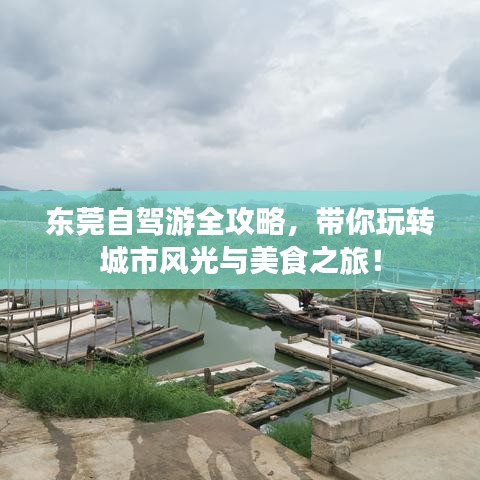 东莞自驾游全攻略，带你玩转城市风光与美食之旅！