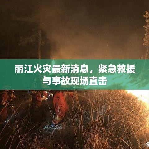 丽江火灾最新消息，紧急救援与事故现场直击