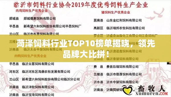 菏泽饲料行业TOP10榜单揭晓，领先品牌大比拼！