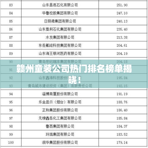 赣州童装公司热门排名榜单揭晓！