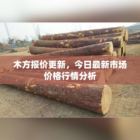 木方报价更新，今日最新市场价格行情分析