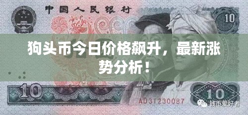 狗头币今日价格飙升，最新涨势分析！