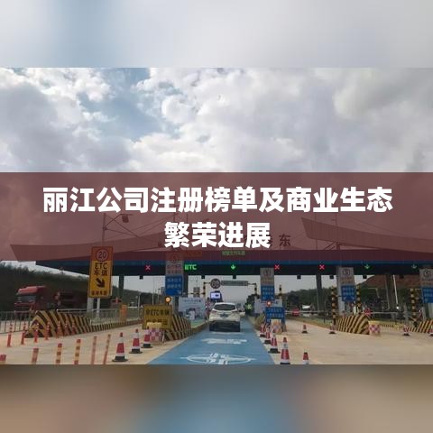 丽江公司注册榜单及商业生态繁荣进展