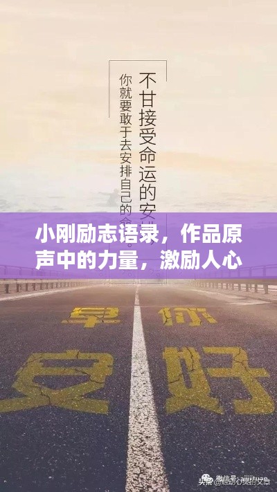 绝代佳人 第2页
