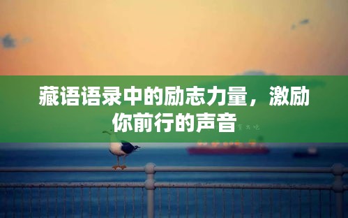 藏语语录中的励志力量，激励你前行的声音