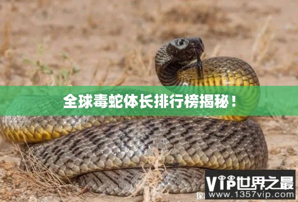 全球毒蛇体长排行榜揭秘！