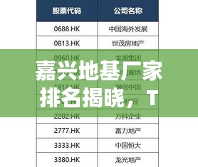 嘉兴地基厂家排名揭晓，TOP 10企业榜单