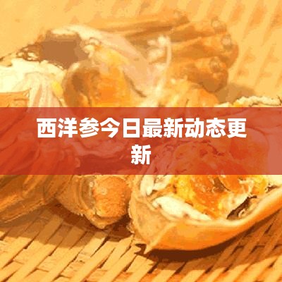 西洋参今日最新动态更新