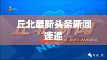 丘北最新头条新闻速递