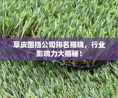 草皮围挡公司排名揭晓，行业影响力大揭秘！