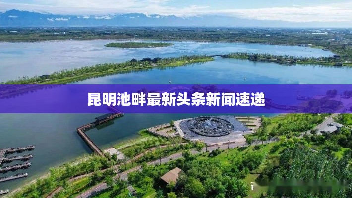 倦鸟知还 第2页