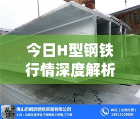 今日H型钢铁行情深度解析