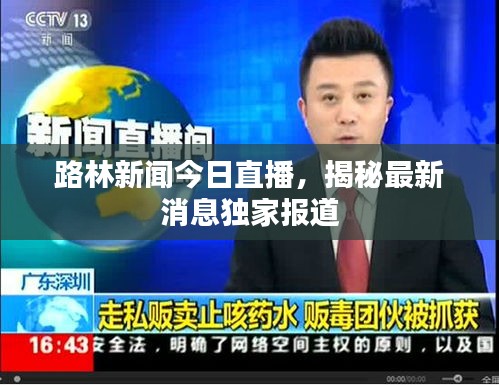 路林新闻今日直播，揭秘最新消息独家报道