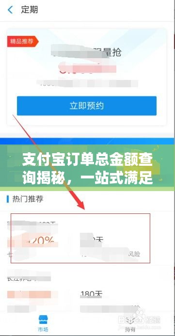 支付宝订单总金额查询揭秘，一站式满足你的财务需求查询攻略