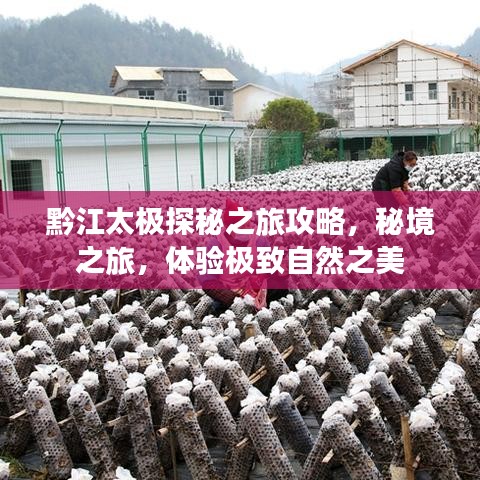 黔江太极探秘之旅攻略，秘境之旅，体验极致自然之美
