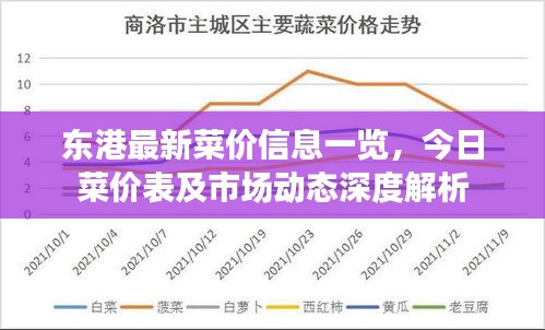 东港最新菜价信息一览，今日菜价表及市场动态深度解析
