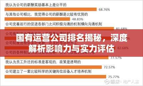 国有运营公司排名揭秘，深度解析影响力与实力评估