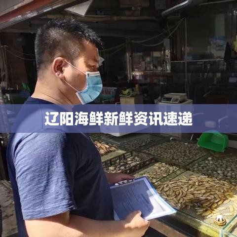 辽阳海鲜新鲜资讯速递