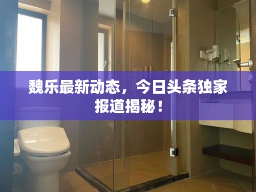 魏乐最新动态，今日头条独家报道揭秘！