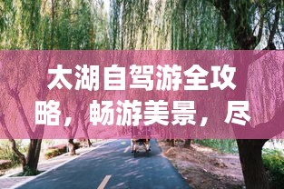太湖自驾游全攻略，畅游美景，尽享湖畔风情！