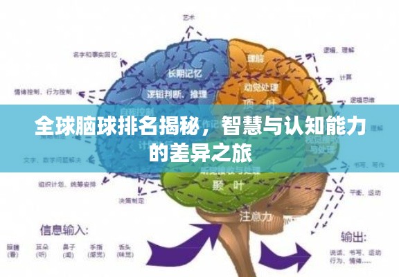 全球脑球排名揭秘，智慧与认知能力的差异之旅