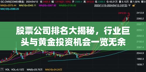 股票公司排名大揭秘，行业巨头与黄金投资机会一览无余