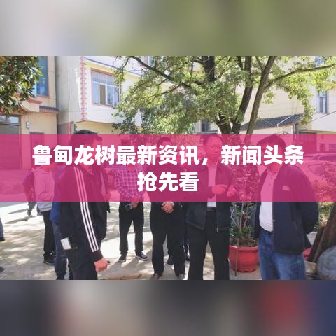 鲁甸龙树最新资讯，新闻头条抢先看