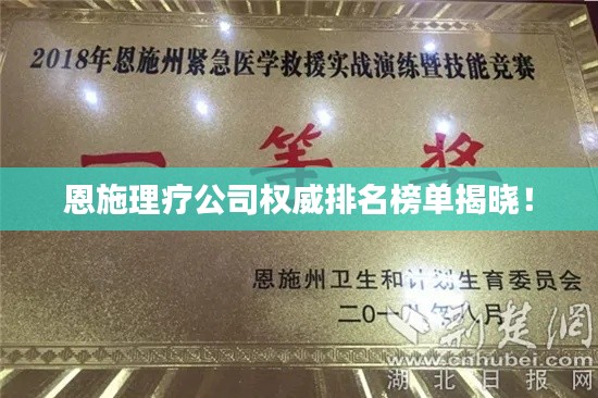 恩施理疗公司权威排名榜单揭晓！