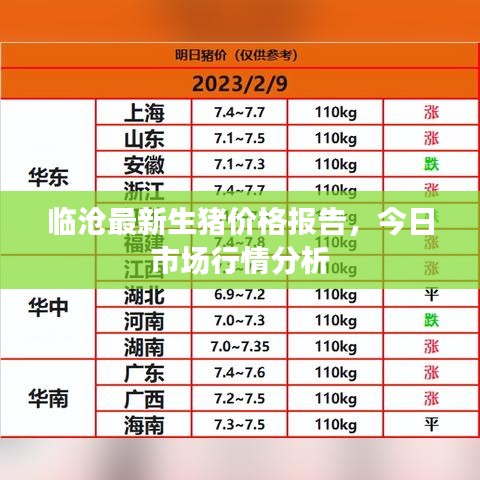 临沧最新生猪价格报告，今日市场行情分析