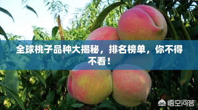全球桃子品种大揭秘，排名榜单，你不得不看！